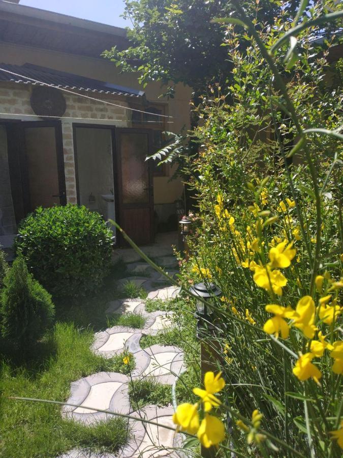 Sim Sim Hostel & Guest House Near The Church Samarkand Exteriör bild