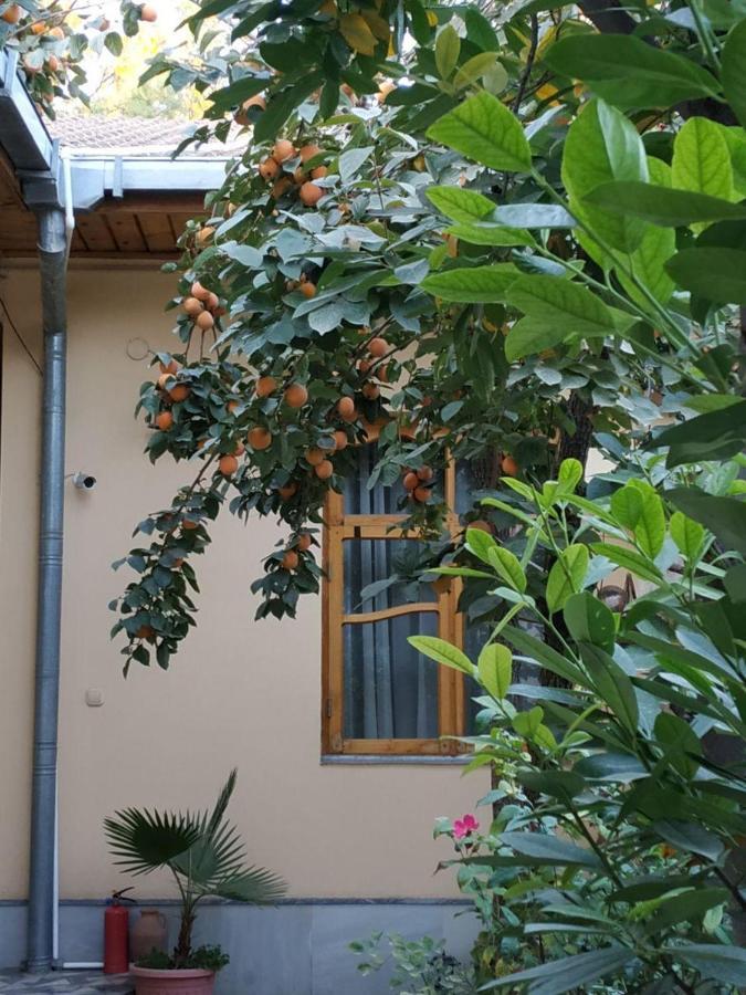 Sim Sim Hostel & Guest House Near The Church Samarkand Exteriör bild