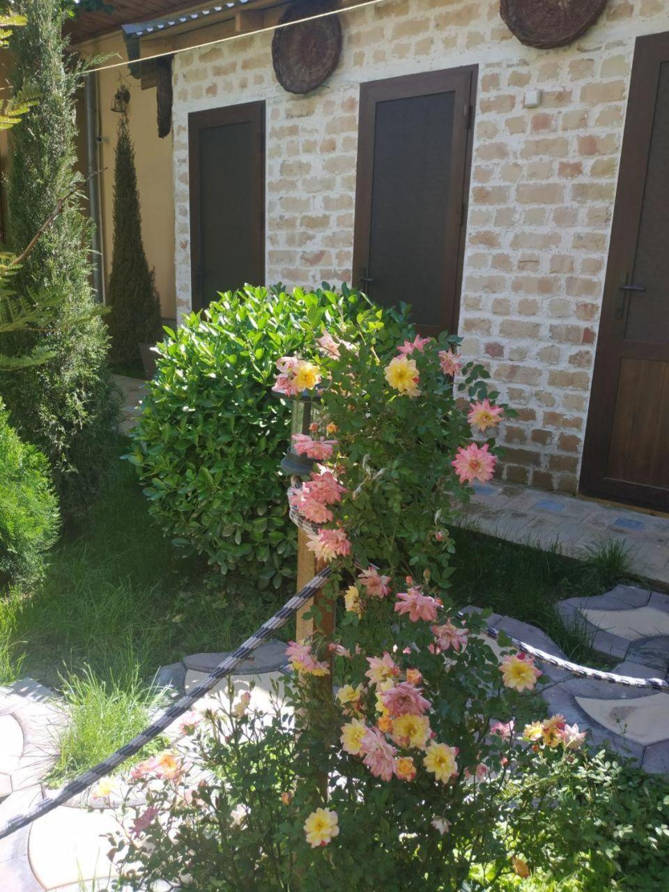 Sim Sim Hostel & Guest House Near The Church Samarkand Exteriör bild