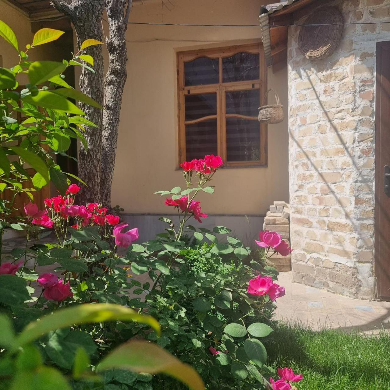 Sim Sim Hostel & Guest House Near The Church Samarkand Exteriör bild