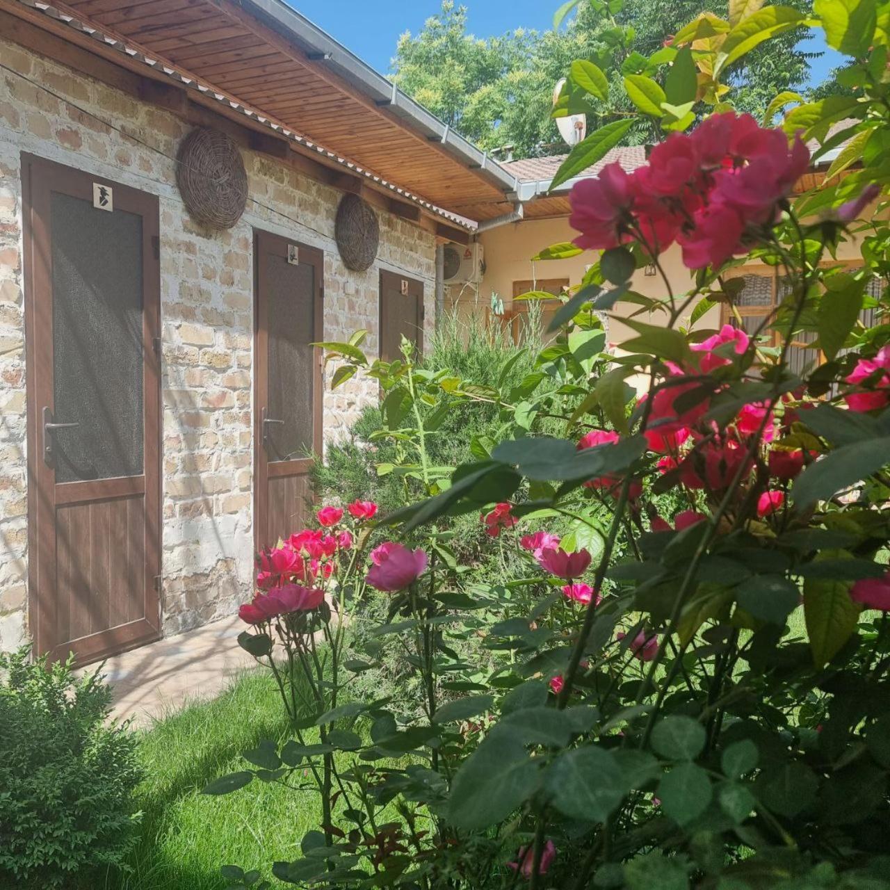 Sim Sim Hostel & Guest House Near The Church Samarkand Exteriör bild